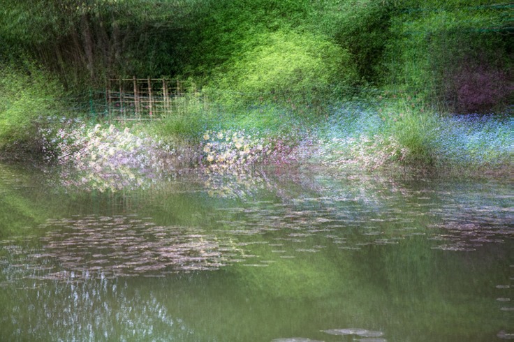 Monet gardens-3