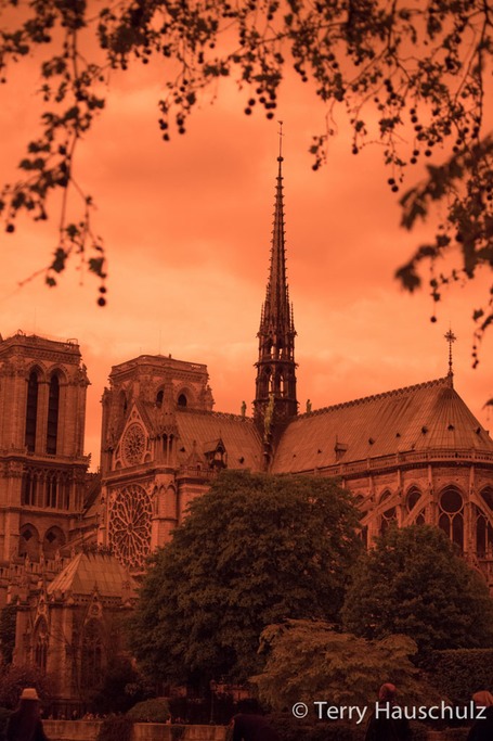Notre Dame Paris-1